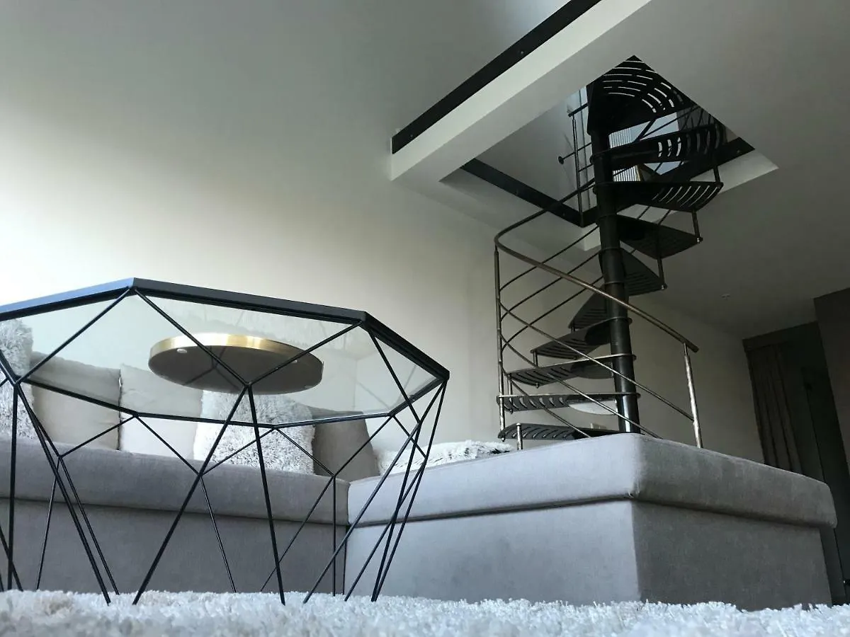 Luxury Loft Duplex Penthouse Of 190M2 & Free Parking ! Apartment Brussels